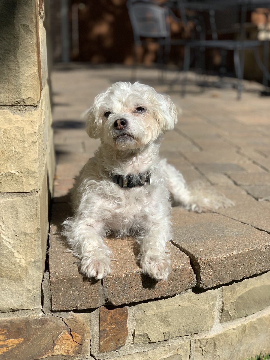 Stanley J. McCuddles (@stanmccuddles) on Twitter photo 