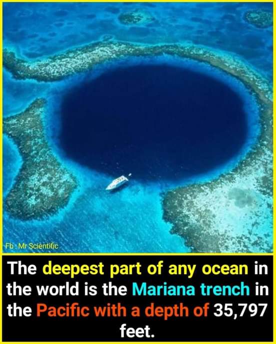 Hemundainfo On Twitter Mariana Trench Is The Deepest Part Of Any Ocean Marianatrench Factsmatter Geography Knowitall Knowtheuniverse Oceans Https T Co Uxifv8is7w