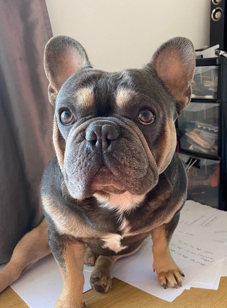 Amanda 🏳️🌈 tweet media