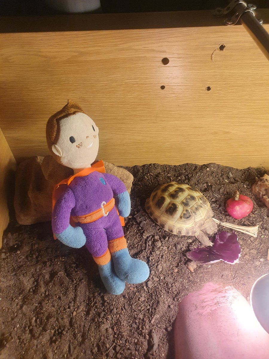 AshmaHorne123's tweet photo. Lincoln and sbarc have had a great half term together they got a subway at the weekend as a treat, sbarc got to met lincolns sister lexis new pet tortoise called shelby and sbarc even got to help paint #siarteriaithybs #bedwenYBS #easycymraeg @MsJonesYBS https://t.co/MMO0PvhKMp