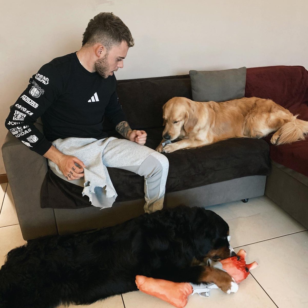 Pusateri Andrea tweet media