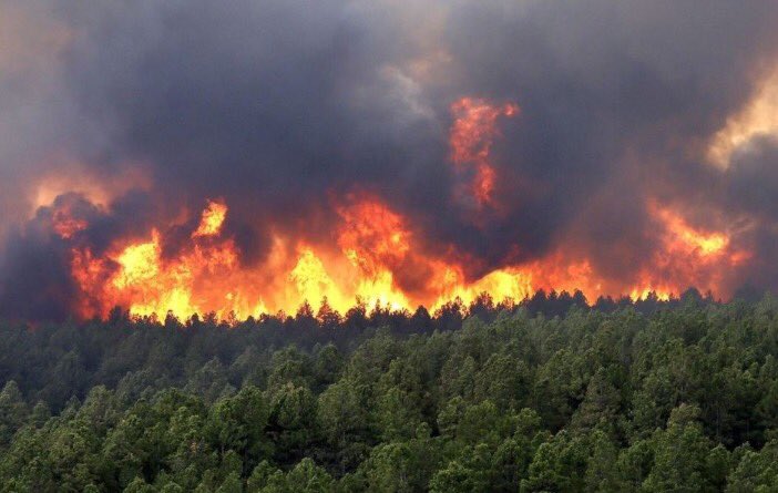 OrxanMammadli5's tweet photo. Aggressive Armenia continues ecological terror in the occupied Azerbaijani territories, deliberately burning the forests of #Shusha city and committing new #crimes        
                           #KarabakhisAzerbaijan       #StopArmenianTerrorisim https://t.co/hZT3c6hnhl