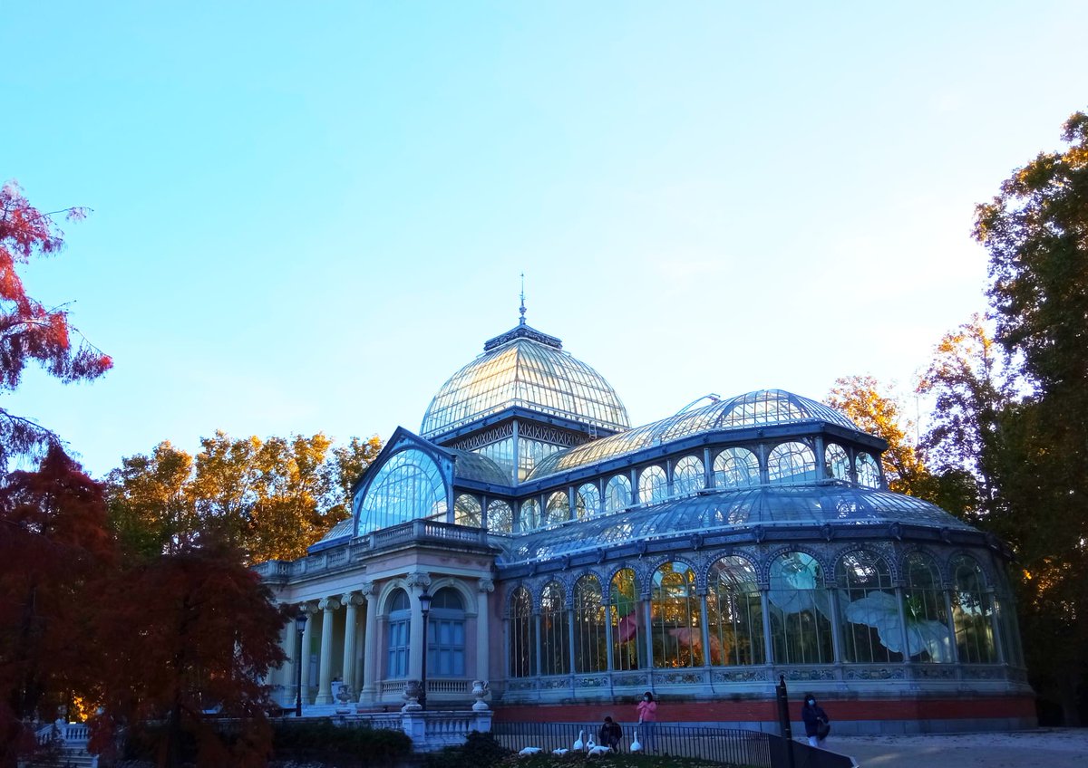 みゅうスペイン 日毎に秋色が濃くなっているレティーロ公園 クリスタル宮と池の集う鳥さんたち マドリッド レティーロ公園 クリスタル宮 みゅうスペイン 日毎に秋色が濃くなっているレティーロ公園 クリスタル宮と池の集う鳥さんたち マドリッド レティーロ公園 クリスタル宮
