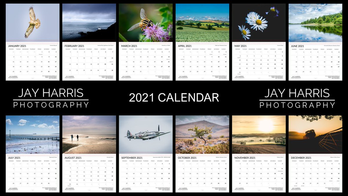 JayHarrisPhotography tweet media