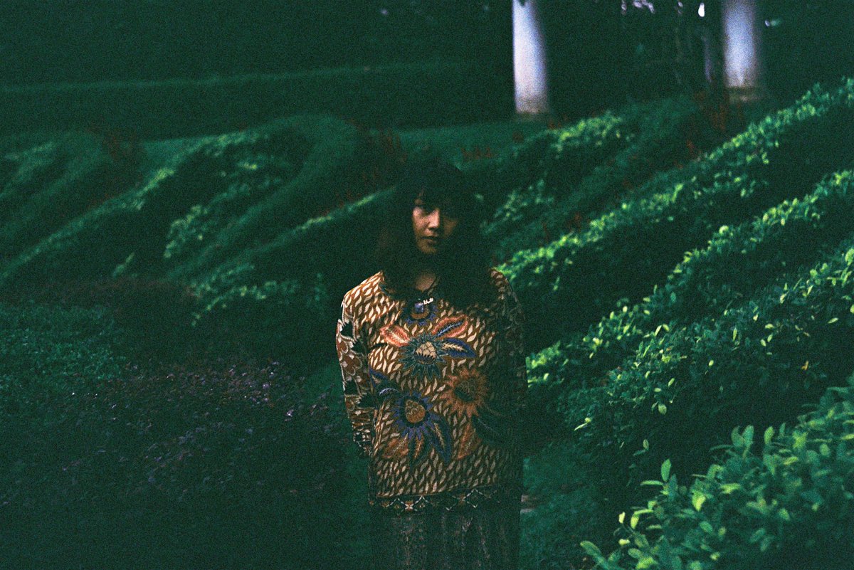 nazimagine's tweet photo. Putri Nanas
#kodakgold200 #Zenit11 #Pictorialism https://t.co/oejWEU2JSB