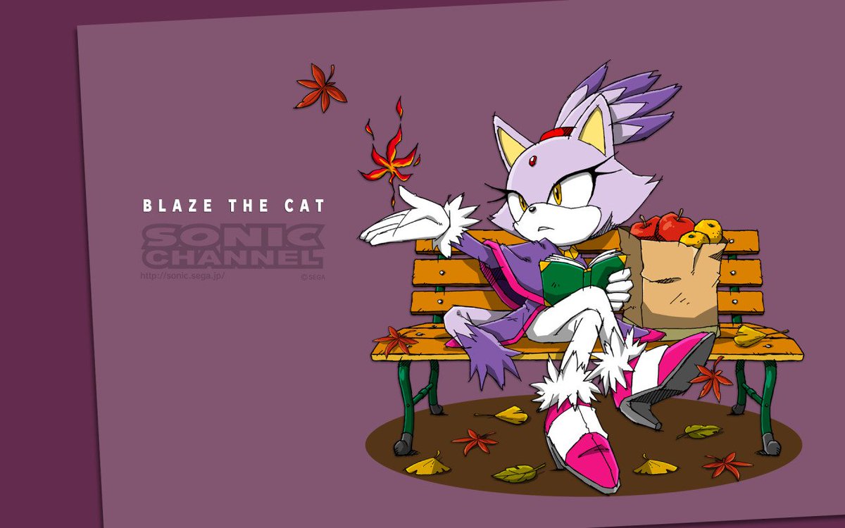 HyOnSight's tweet photo. Today 16 years ago, Sonic Rush released, and that means today is Blaze's birthday! Retweet with all things Blaze for #BlazeDay! https://t.co/GIktXlWgV0