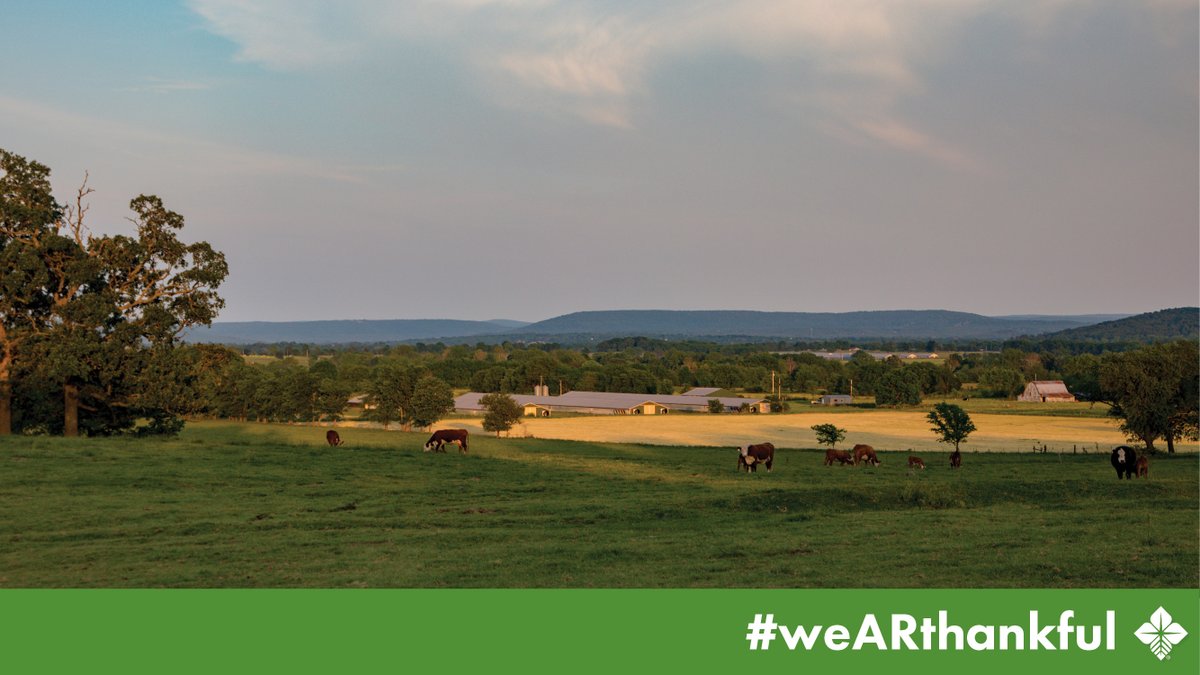 Thank you to the 42,300 farms in Arkansas for feeding and clothing our state and world. #weARthankful