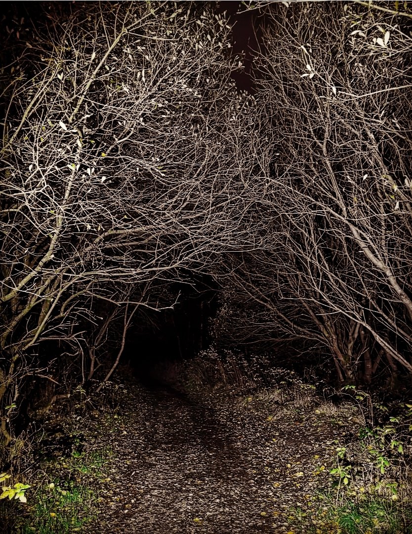 I'm an atheist. An agnostic, at a push because I dont claim to know the unknowable. But I do know the power of ritual and magic. I know our ancestors had the right idea when it came to getting us through darkness and being comfortable within the cycles of life and death. So: