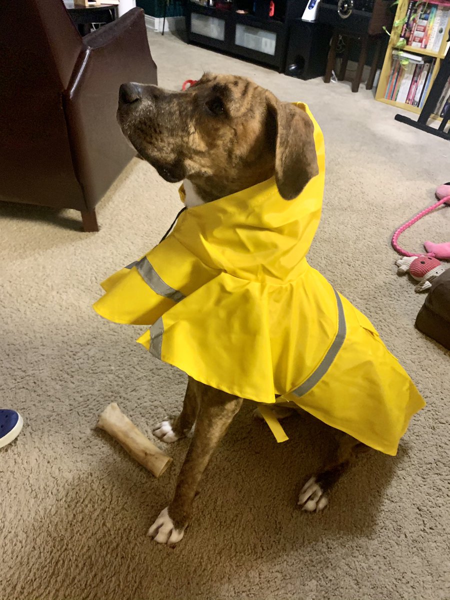 Dave Jorgenson tweet media