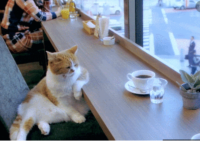 thelaceylondon's tweet image. In six words or fewer, write a short story about this photo...

#amwriting #sixwordstory