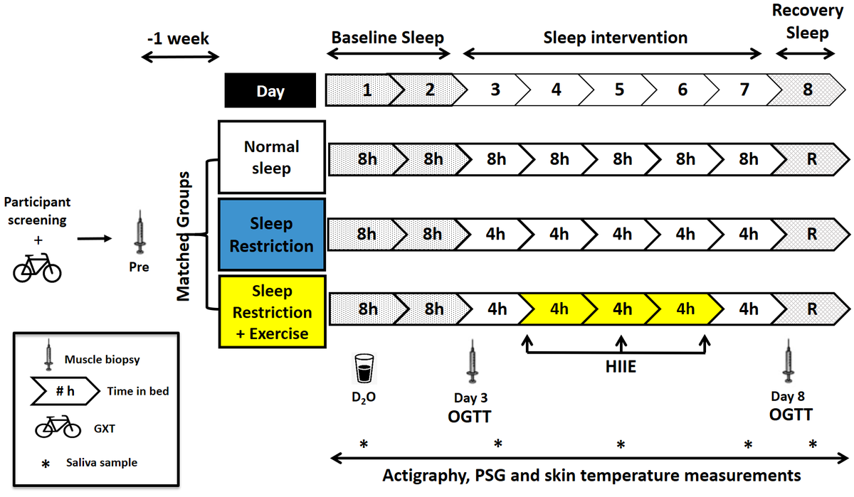 Nick Saner tweet media