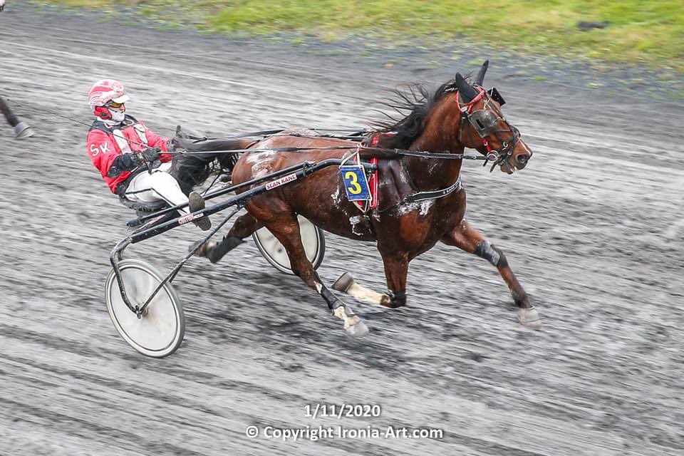 IrishTrotting's tweet photo. Congratulations to all the connections who had winners at @PortmarnockRWY today! 

#IrishHarness #IrishTrotter #HarnessRacing https://t.co/d4SSalEkoS