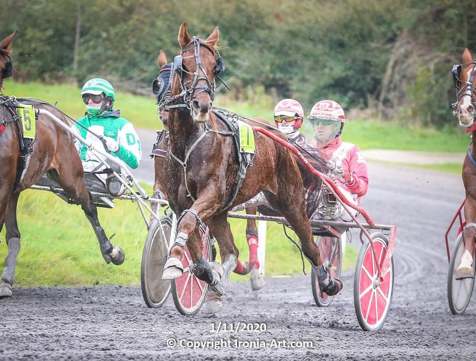 IrishTrotting's tweet photo. Congratulations to all the connections who had winners at @PortmarnockRWY today! 

#IrishHarness #IrishTrotter #HarnessRacing https://t.co/d4SSalEkoS