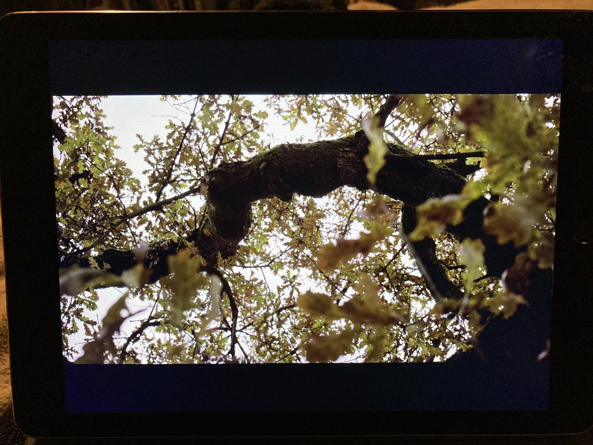 Mostly I love the way each film deals with the gap between what can been understood or explained by science, and the power of unseen forces, hidden energy. The egg, the occult, the lava under the rock. 6/