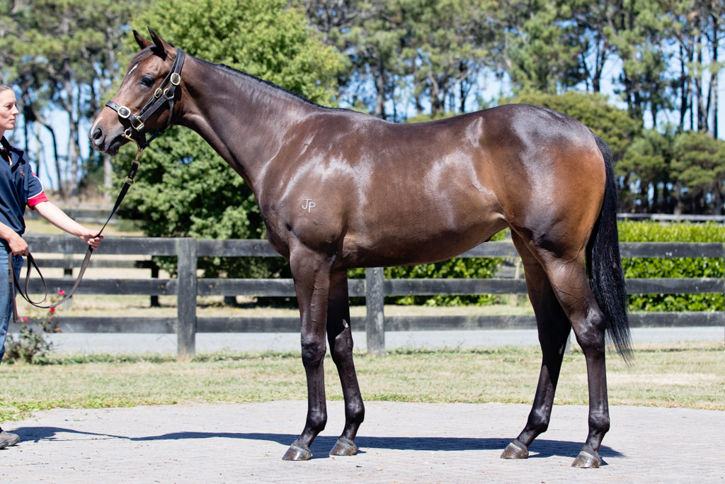 KarakaChat's tweet photo. Stakes success flowed in AUS &amp; HK over the weekend for NZB grads, with #JohnnyGetAngry (NZ) starring in G1 Victoria Derby.

🔹#Crosshaven Flies Flag in Flemington Opener
🔹#Furore (NZ) Home in Ladies Purse
🔹#InspirationalGirl (NZ) Up to Stakes Class

🗞️: https://t.co/R3ifznG18A https://t.co/0bVZ6Ayuei