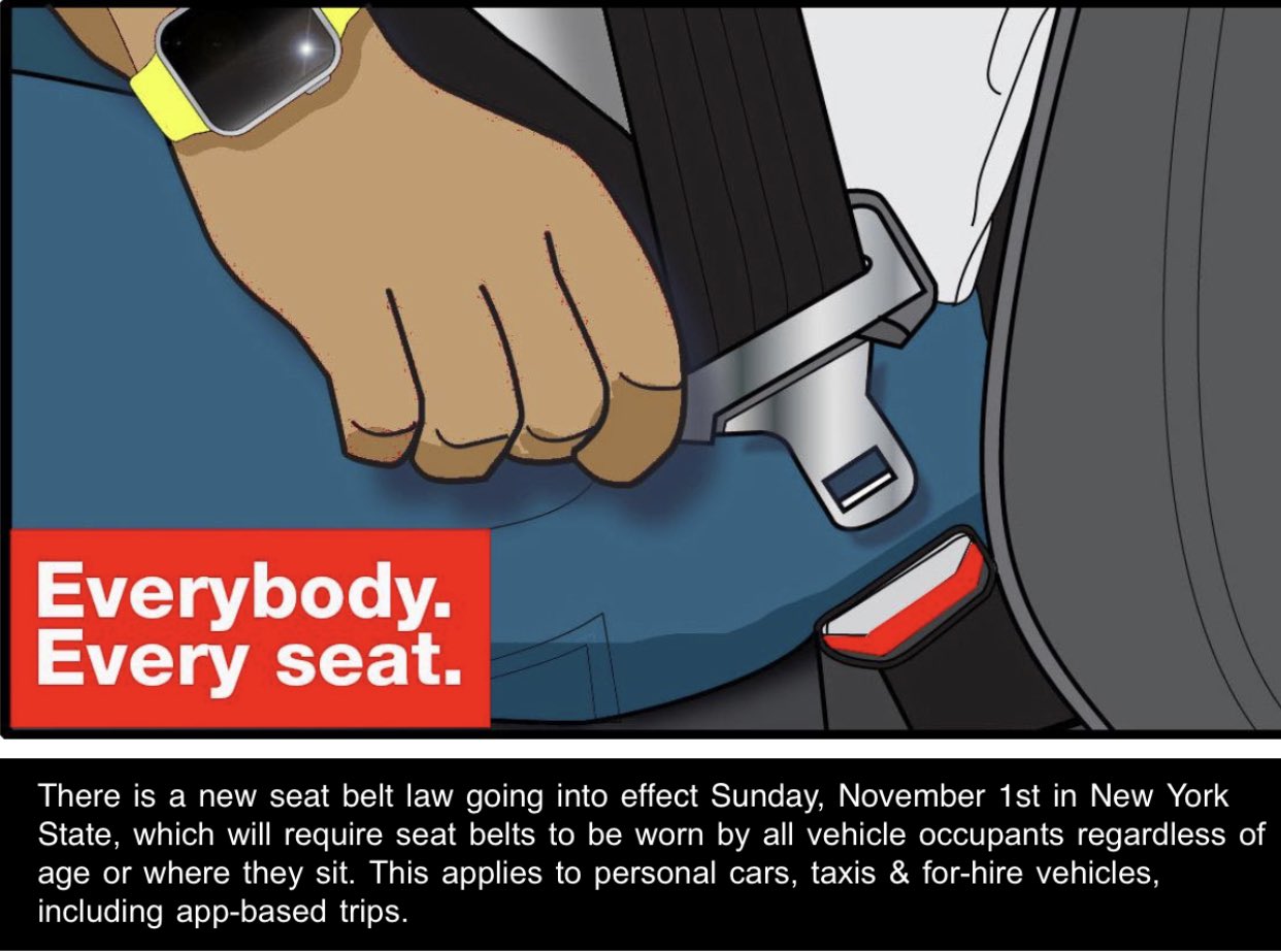 Principal 183+ imagen new york seat belt law In.thptnganamst.edu.vn