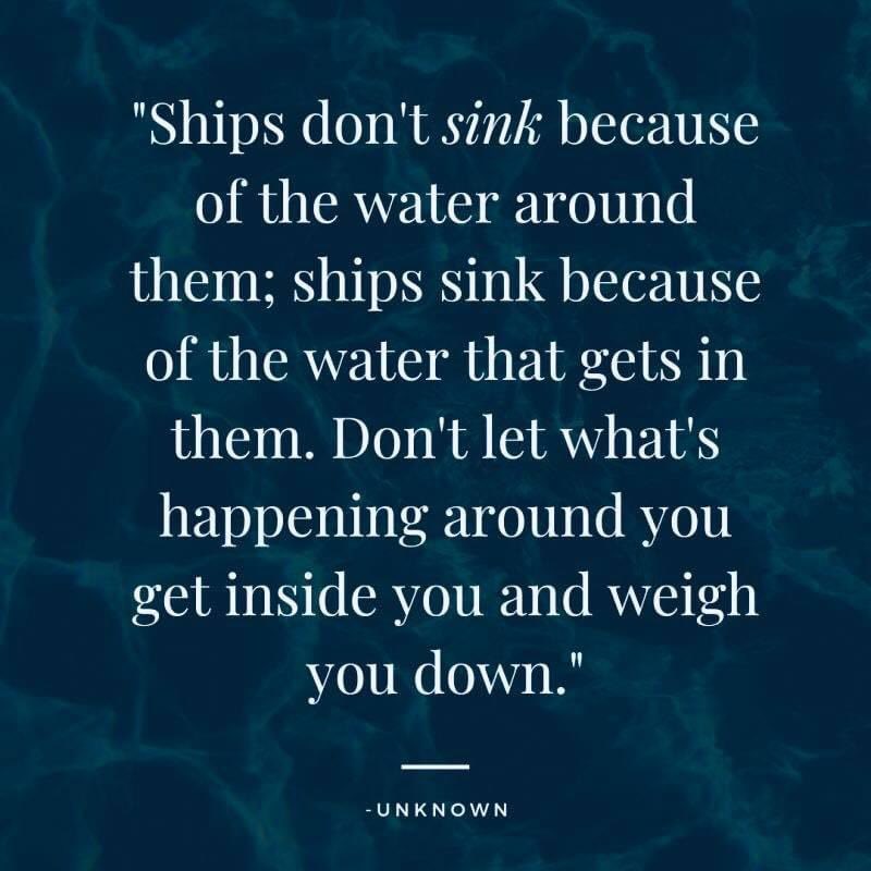 Bumble Bee tweet media