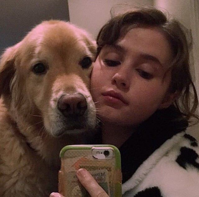 // body image + image of alcoholthread of clairo as cows 