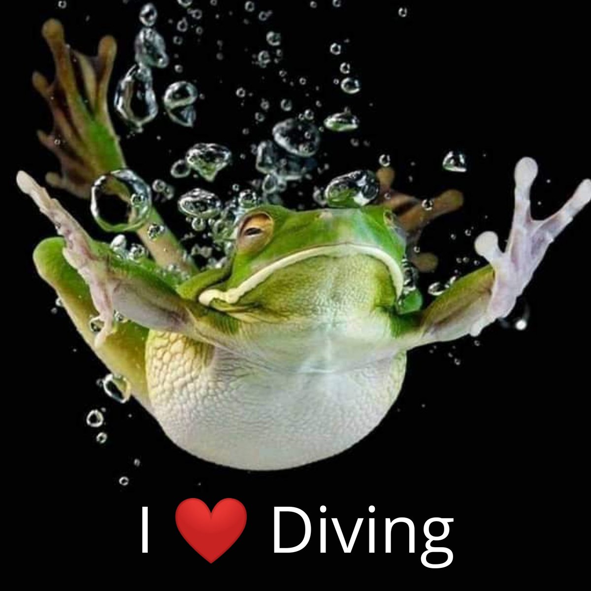 #Diving #ScubaDiving #Buceo