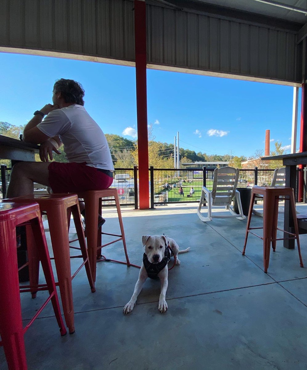 HDWTpodcast's tweet photo. It’s 68° and sunny in Canton, GA! We hit the trails at Etowah River Park and then visited our friends at @ReformationBrew for a refreshing beverage (and dog treats).🍻 The perfect way to wrap up the weekend! https://t.co/UIzAu6Nn9O