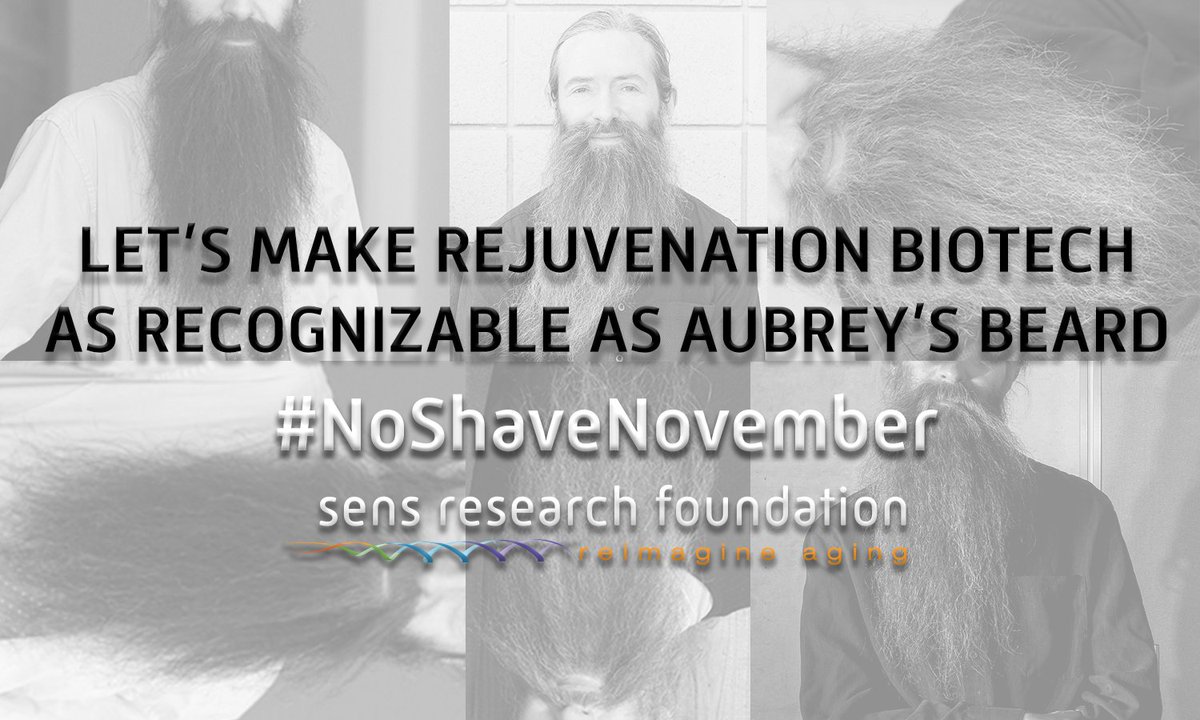 LifespanRI's tweet photo. No-Shave November is meant to encourage a conversation about cancer by embracing our hair, which many cancer patients lose (https://t.co/My5XsJEEwU). Did you know that adults over the age of 65 are 11x more likely to develop cancer than younger adults (https://t.co/1CuTsWoqqV)? https://t.co/ozgvqNvLoo