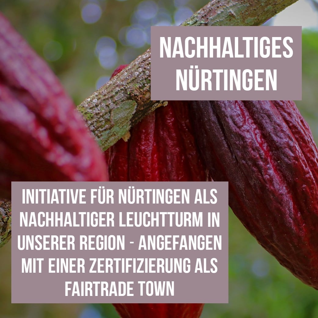MichaelMedla's tweet photo. Als Vorstand von Glas &amp; Beutel unterstützen wir den Offenen Brief für ein nachhaltiges Nürtingen. Wir überzeugt, dass Nürtingen das Potenzial dazu hat, nachhaltiger Leuchtturm in der Region zu werden. Der erste Schritt: Zertifizierung als Fairtrade Town! https://t.co/sH02gad1y7