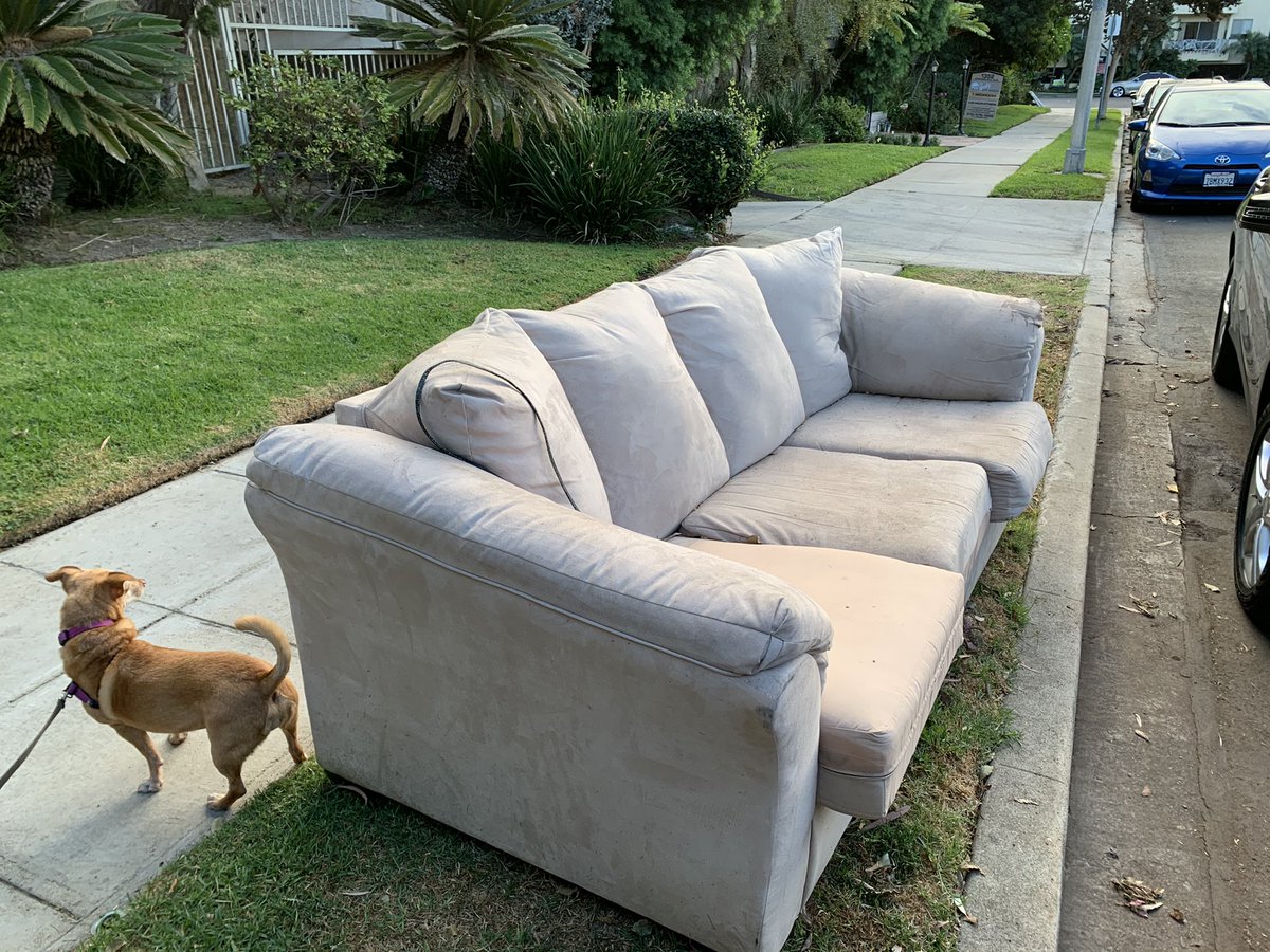 #HaveYouSeenAFreeCouch <a href="/darksecretplace/">TheDarkSecretPlace</a> Would you say I have a plethora of couches? Texas &amp; Wellesley, West LA.