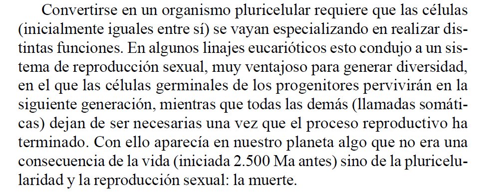 En un día como hoy, conviene recordar que la #muerte no es una consecuencia de la #vida, sino de la pluricelularidad.

El origen de la muerte es 2.500 millones de años posterior al origen de la vida. 

Podríamos encontrar un planeta con vida, pero sin muerte.

Buenas noches.