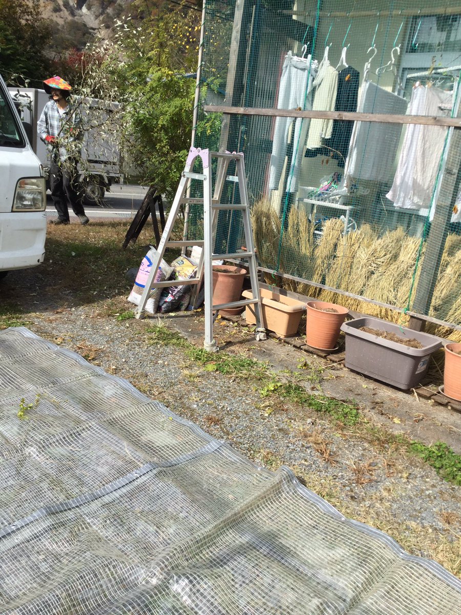 おクニさん はぐれ猿が 人家近くに住み着いて三年近くなって 成長してジャンプしたら私の目線の上で ギャー恐ろしかった ビニールカーテンに弾き飛ばされてくれた その後 保育園児狙うようになって 婆ばニュースにでっちゃたあ