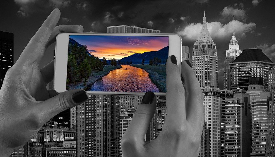 Atelier national 2020 AQIP : Annick Boivin, garde-parc naturaliste au parc national des Îles-de-Boucherville (Sépaq), présentera sa conférence «Être naturaliste métropolitain : interpréter la nature à deux pas du centre-ville». Crédit photo : Pixabay. bit.ly/2HaOTnl