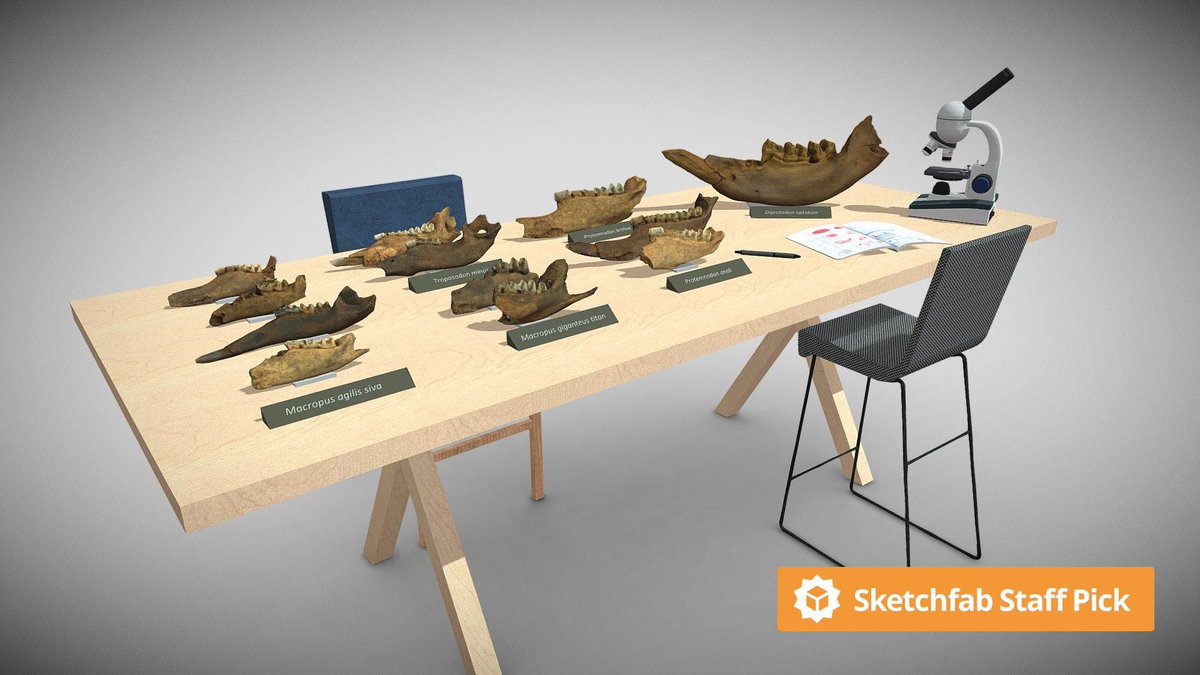 Sketchfab tweet media