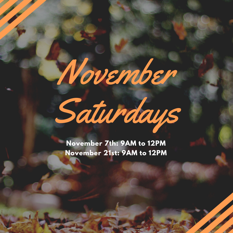 We will be open for two Saturdays in November. Be sure to give us a call ahead of time to secure an appointment time!

 #longmont #saturdayhours #chiropractic
