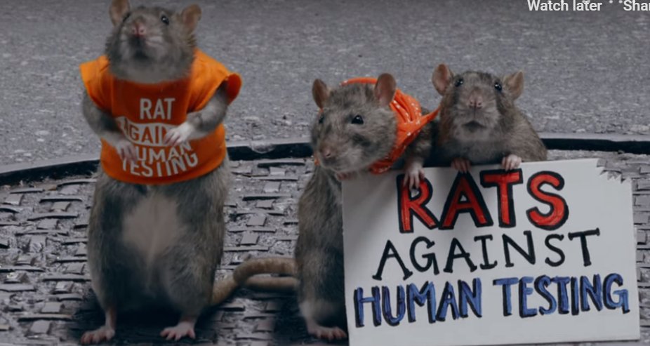 Hundreds of ecig studies assume harm and set out to find it, subjecting poor rodents to vapor conditions no human would tolerate.  #AnimalCruelty.  Better to ask an ADULT human vaper.  We healthy humans have tested these things for 14 years <a href="/truthorange/">truth</a>.
addvertising.org/blog/-40
