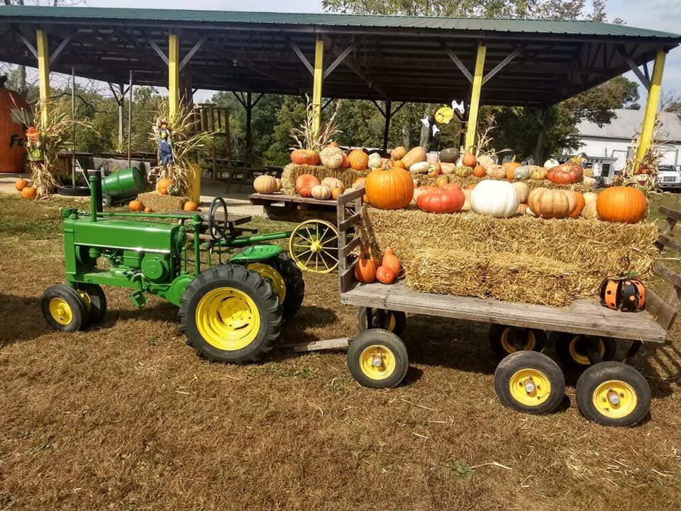 VisitIndiana's tweet photo. Fall into Fun in Harrison County! π
Below ground, at treetop level, or in a tasting room, @ThisisIndiana offers great fall getaways.
Read More About the Trip: https://t.co/gIsB6BFxRa
#indiana #visitindiana #fall #INFallRoadTrips https://t.co/ZfaeK4W6wM