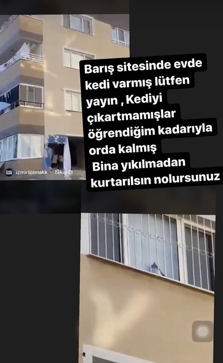 cigdembayrakk's tweet photo. Ne olur elimizden geldiğince yayalım lütfennnn 🙏🏻 https://t.co/8lu6fVHYla