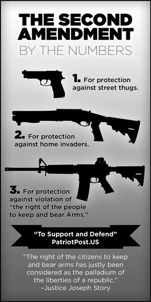 ५)या पक्षाच म्हणणं आहे की भत्ता नावाचा प्रकार शक्यतो कमीच असावा..६) डेमोक्रेटिक पक्षाची सगळ्यात जास्त योग्य मागणी ही आहे की तो पक्ष सरसकट हत्यारांना विरोध करतो..त्यांचे म्हणणे आहे की ज्यांना खरच हत्यार बाळगायची गरज आहे अथवा सक्षम लोकांनाच हत्यार ठेवण्याची परवानगी देण्यात यावी..