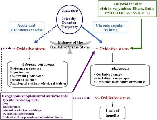 2. GLUTATHIONEWhen u work out, you need more oxigen (don’t i say)This demand creates OXIDATIVE STRESSAKA: Free RadicalsAnd it’s lowered by...