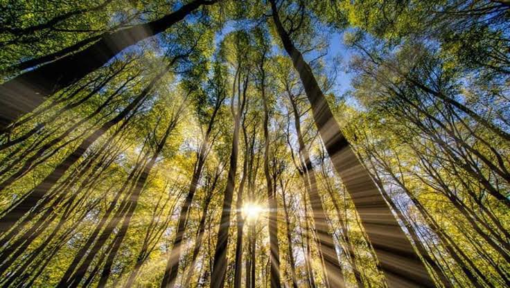 1. VITAMIN DYour muscle soreness is caused by EXCESS INFLAMMATIONAKA: Inflammatory CytokinesThey’re good, but in excess,You’ll feel like a paralytic.