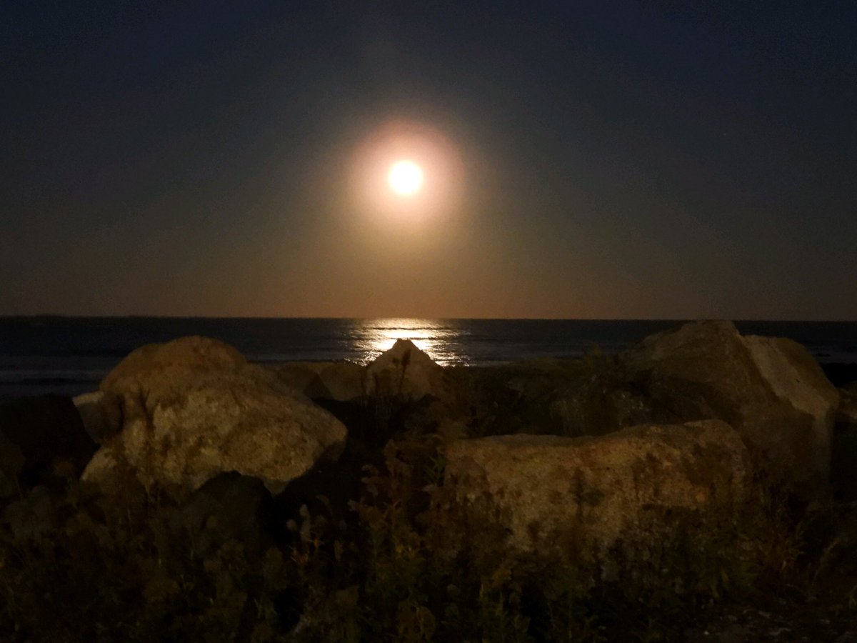 Pretty cool to have a blue moon on Halloween. Even cooler to pass a hobbyist photographer who agrees to text you pictures the next day and then actually does it. Most people are good. #bluemoon