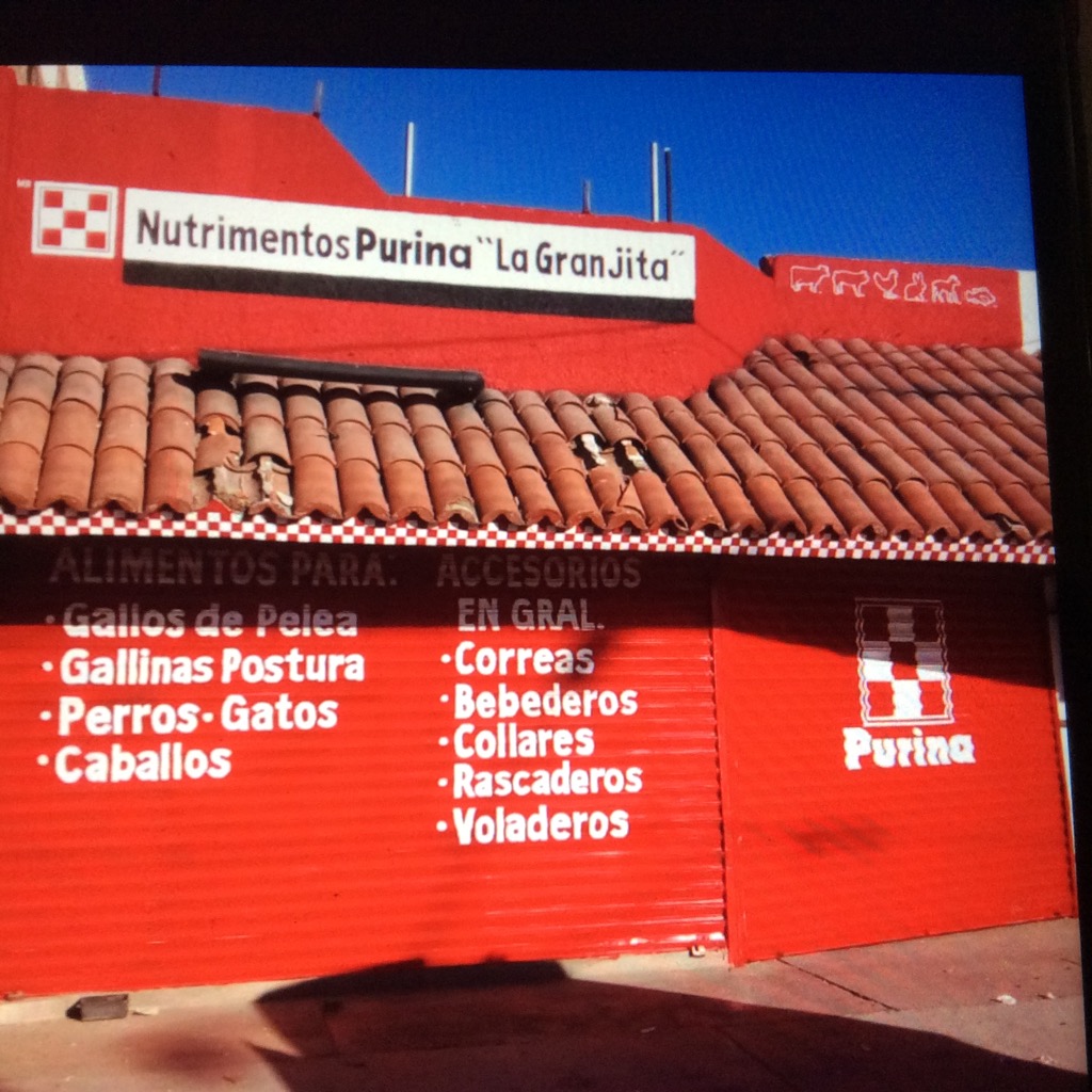 Felicidades al nuevo punto de venta "nutrimentos Purina "La Granjita "mucha suerte .<a href="/AgribrandPurina/">Agribrands Purina</a> <a href="/ProPlan/">Pro Plan</a>