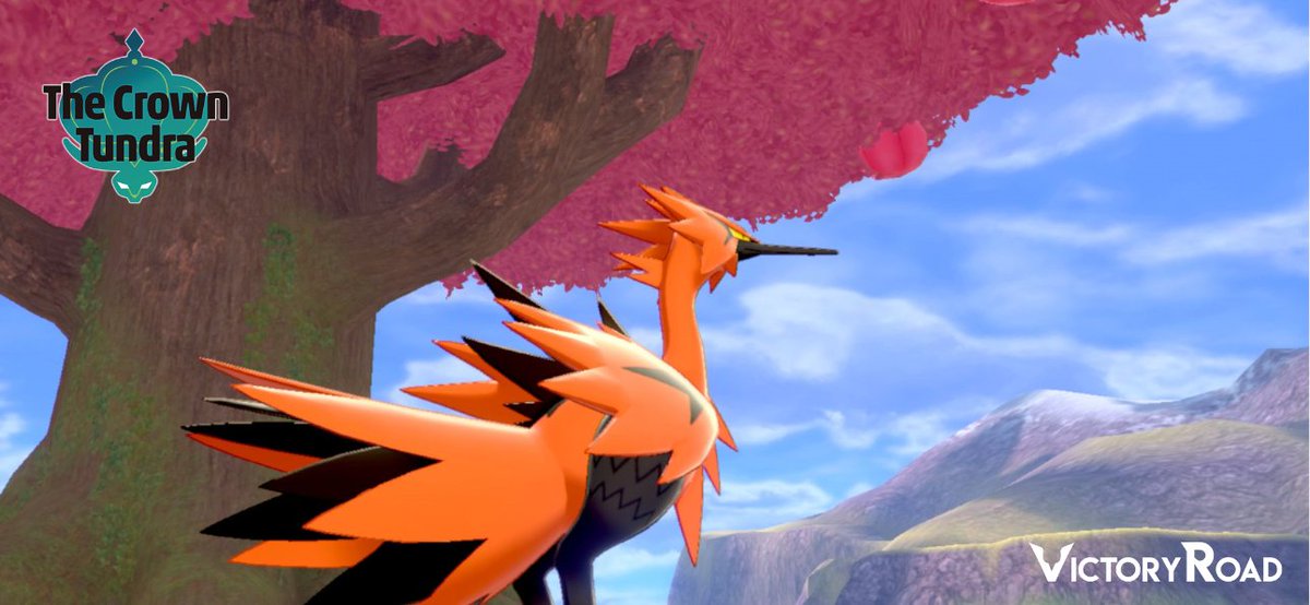 Top cut teams from the online VR Tundra Challenge are up! 

📅 31 Oct–1 Nov 2020
🎮 VGC20 Series 7
📄 Open teamsheets
👥 298 players
💵 $1500 in prizes
🏆 Won by <a href="/JoeUX9/">Joseph Ugarte</a>

🔗 Teams: victoryroadvgc.com/2020/11/02/tun…