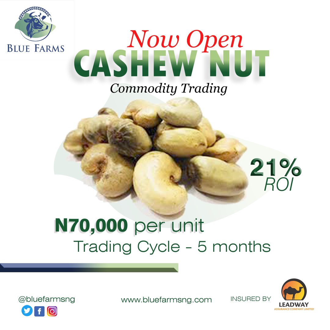 bluefarmsng's tweet photo. Invest in any of our commodities now and get high ROI within a very short timeframe. All our investment packages are insured by LeadWay Insurance.

Click link below to learn more About Blue Farms and our commodities

 #Blufarmsng 

https://t.co/qCd5MVjvD9 https://t.co/bGFVBUDXFm