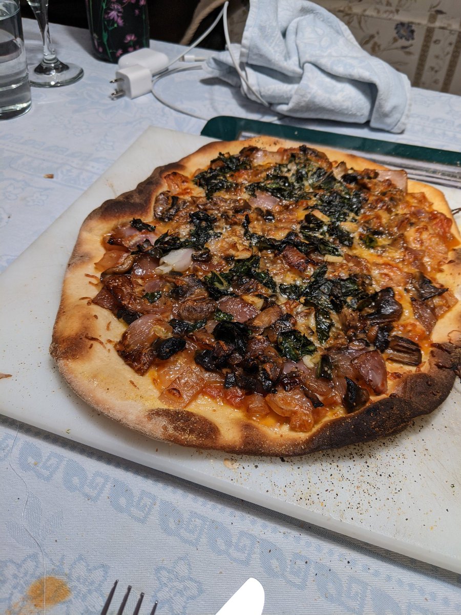 Ok tonight I did 4 sourdough pizzas.P1. Fresh mozz green tomatoes and hot "sausage" over green tomato chutney (homemade)P2. Mushrooms and onions with garlic and swiss chardP3. Margarita (homemade sauce)P4. Mushrooms onions tomato sauce and swiss chard