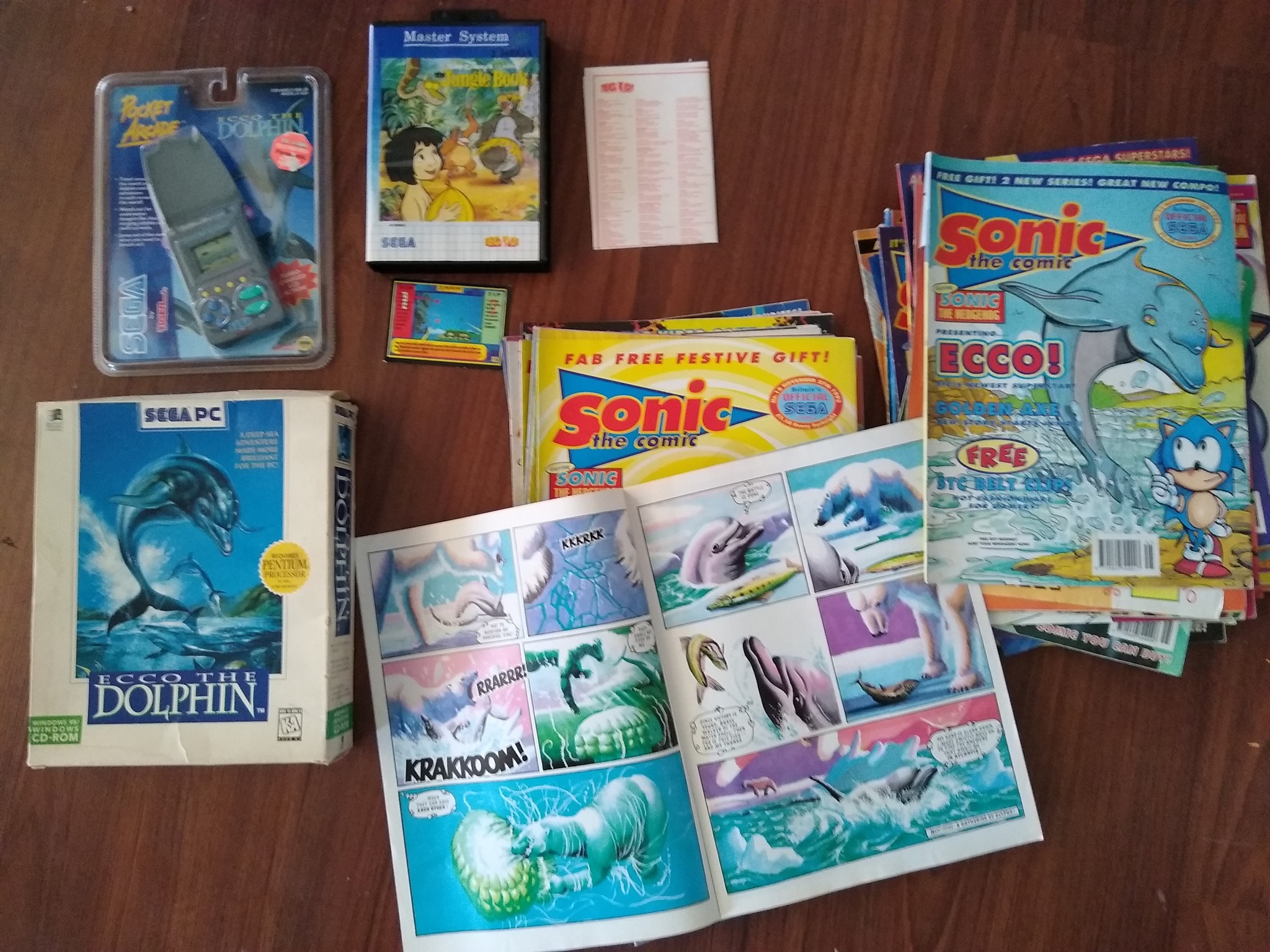 Ecco the 2024 dolphin online