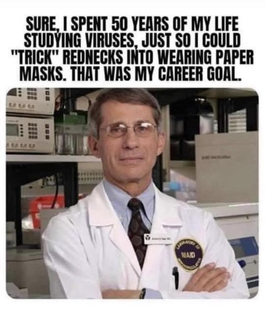 RomperGirl ☄️👽🐒🐘🐝🌻 tweet media