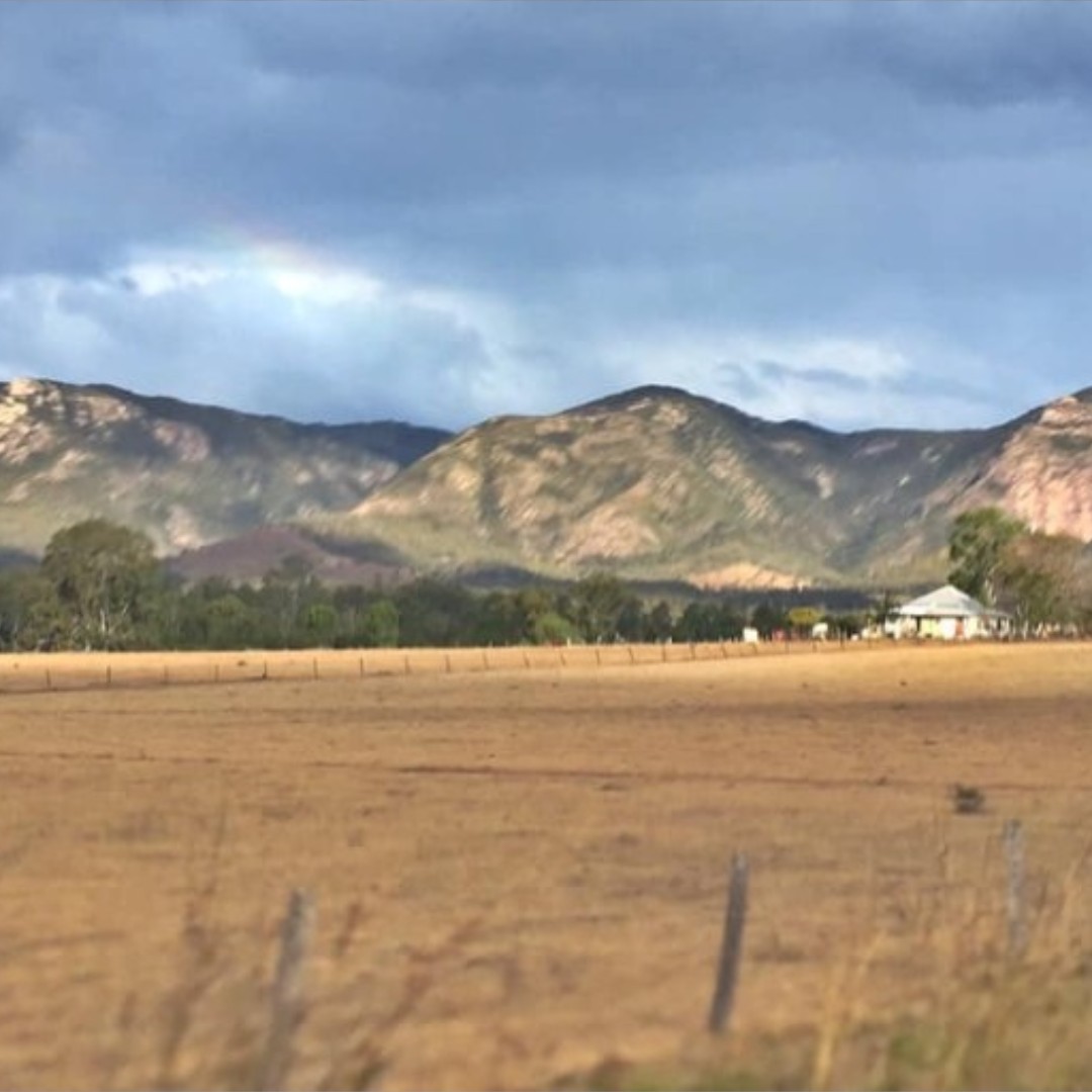 November edition of BIEDO Burst out now! This month we are GREEN in line with National Agriculture Day 🚜 on Friday 20 November #WeAreAusFarmers #AgDayAU! Catch up on this edition: biedo.org.au/biedo-burst. 

📷 Nicole Armstrong, 2019 BIEDO Best Shots Competition.