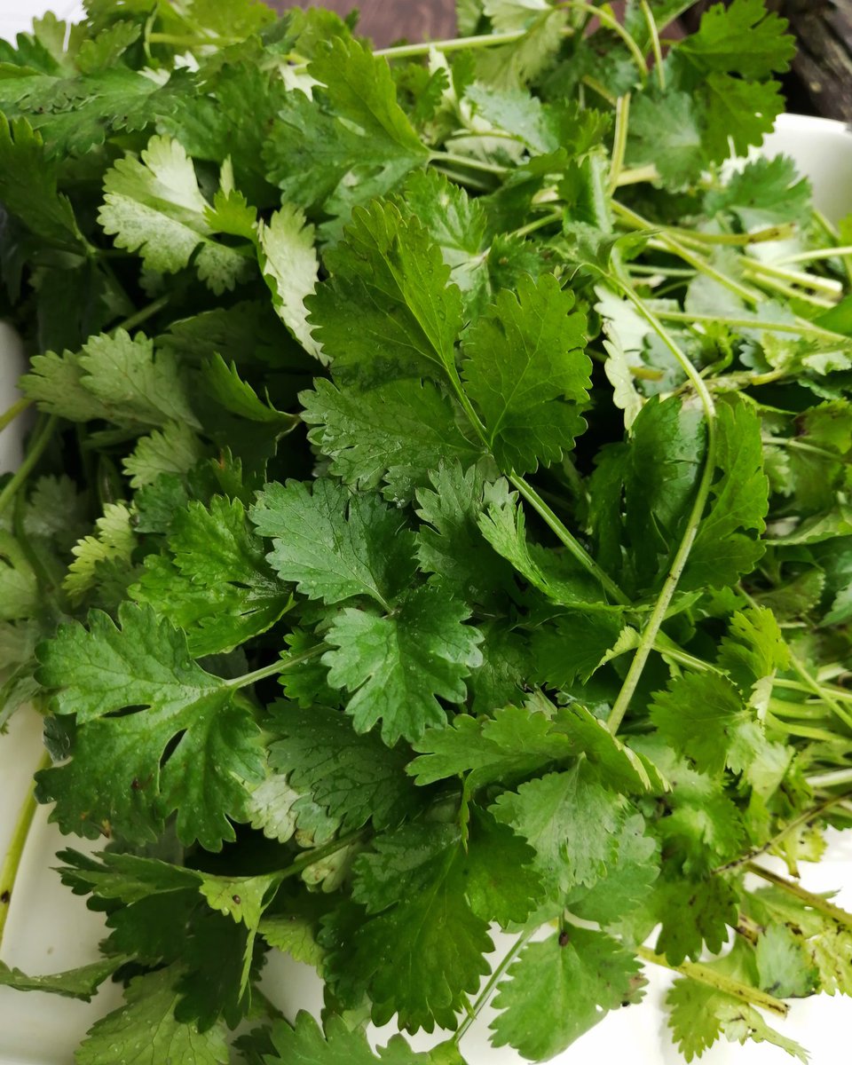 塩梅 あんばい Anbai298 Twitter