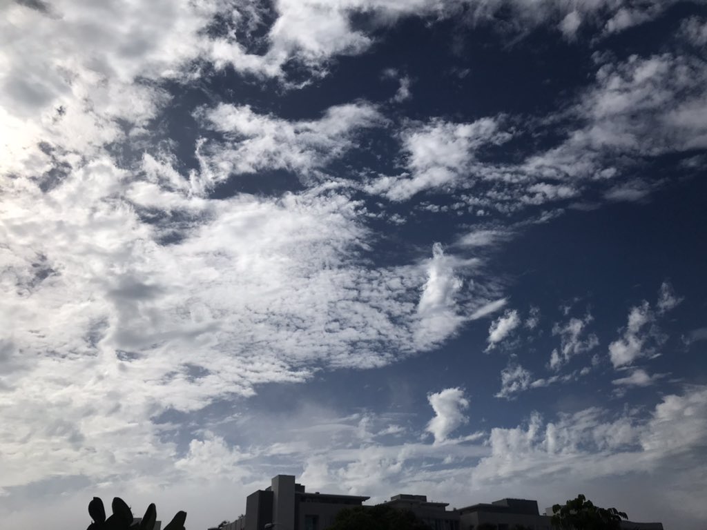 scriptcat's tweet photo. Keep looking up and going after your dreams. Inspiration is everywhere you have to be open to seeing it. #writer #screenwriting #screenwiter #filmmaker #artist https://t.co/EJLoRyiK0I