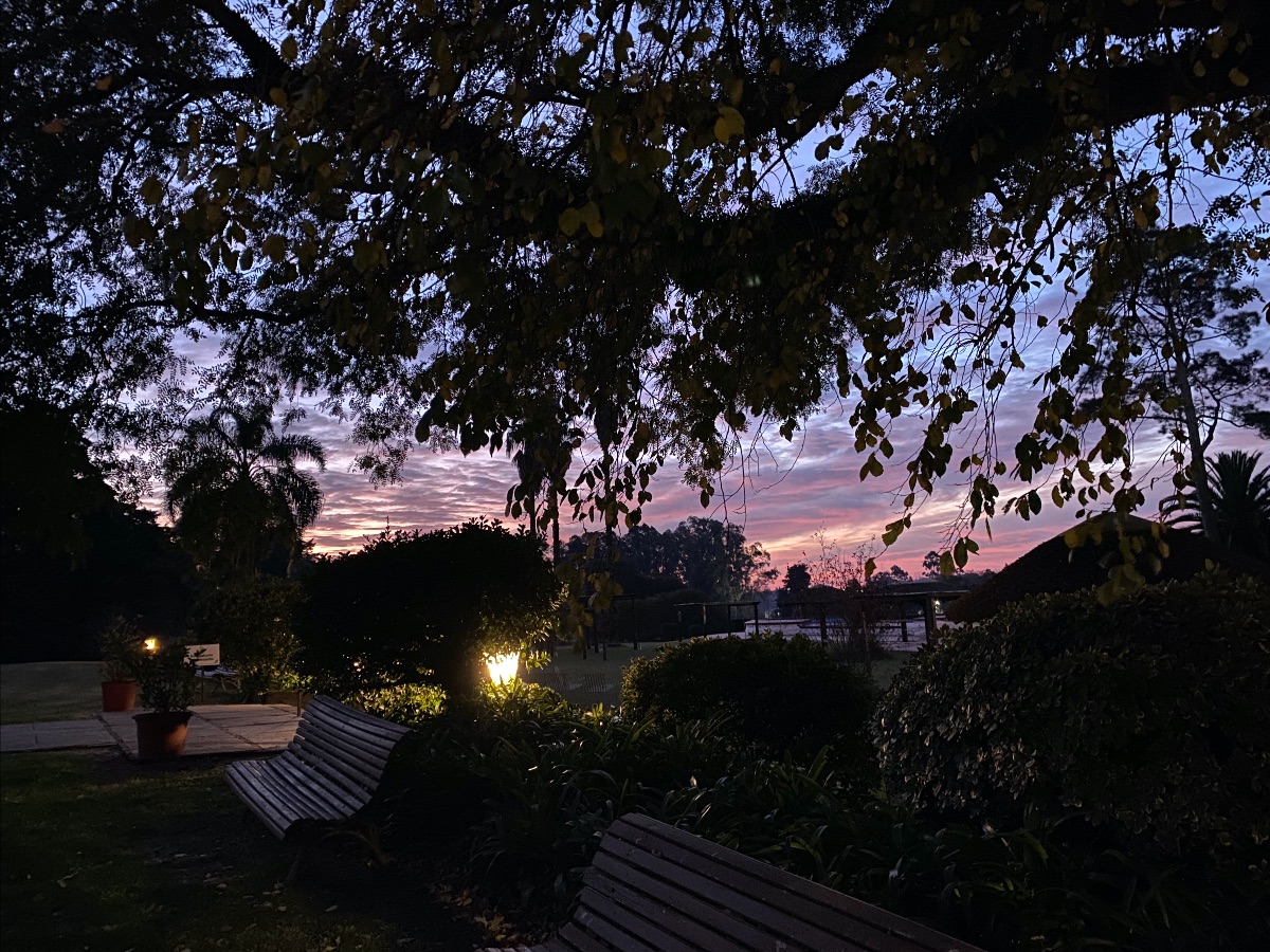 Paquete 3 noches, con comidas y paseos - mailchi.mp/hotelnirvana/p… u$s 100 dólares por persona y por noche, en base doble. Total del paquete u$s 600.
Consultar condiciones del paquete en infonirvana@hotelnirvana.com