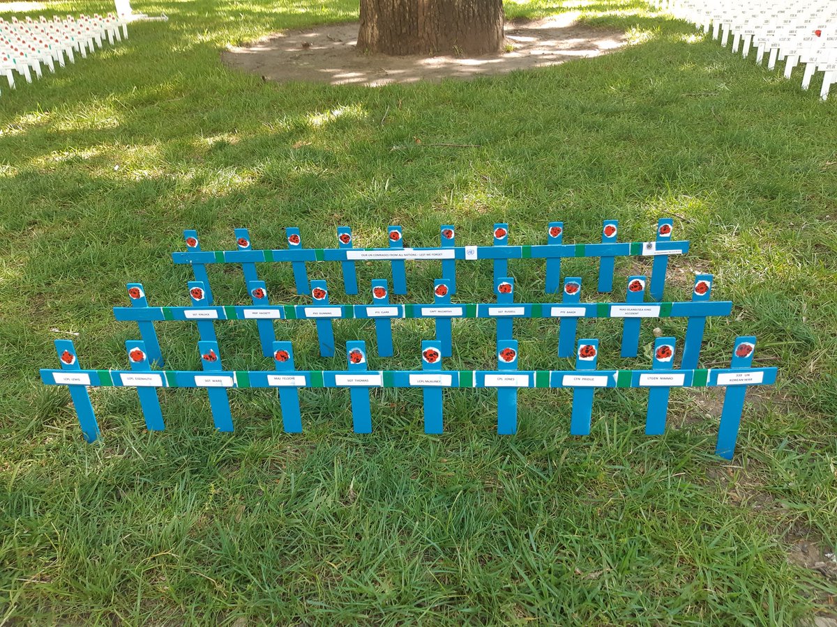 The service and sacrifice of Peacekeepers is recognised in the Field of Remembrance with these unique crosses. We Will Remember Them. Thanks go to John Spencer for his efforts.